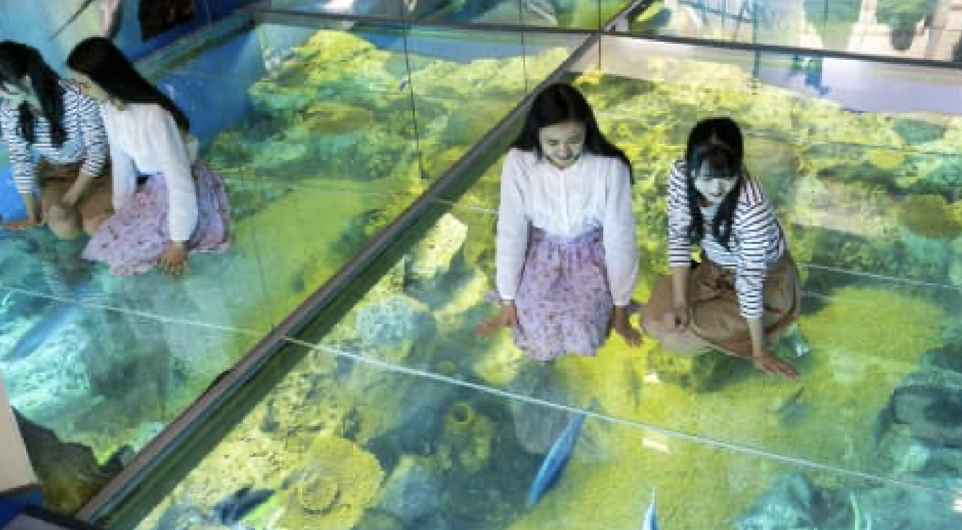 越前松島水族館